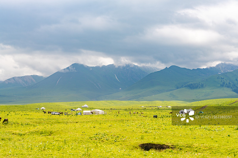 新疆那拉提草原夏季风景图片素材