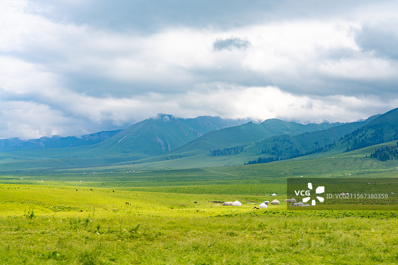 新疆那拉提草原夏季风景图片素材