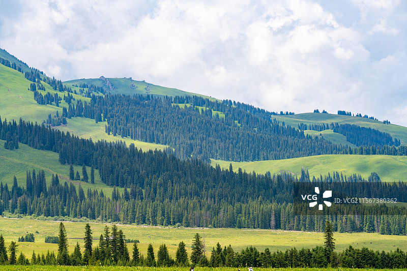 新疆那拉提草原夏季风景图片素材