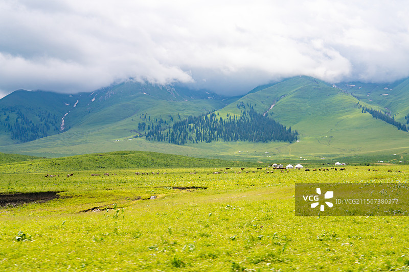 新疆那拉提草原夏季风景图片素材