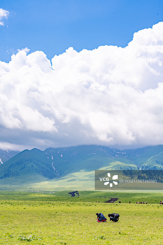 新疆那拉提草原夏季风景图片素材