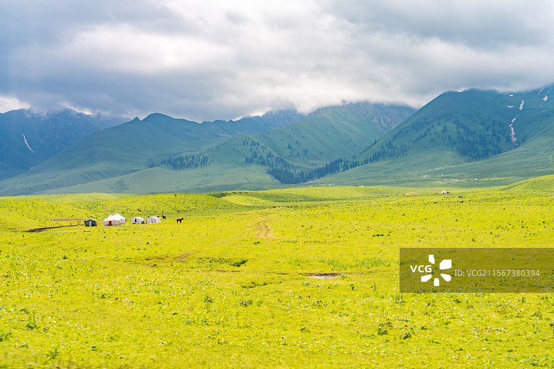 新疆那拉提草原夏季风景图片素材
