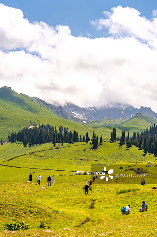 新疆那拉提草原夏季风景图片素材