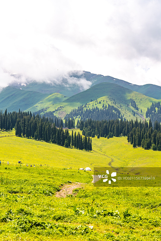 新疆那拉提草原夏季风景图片素材