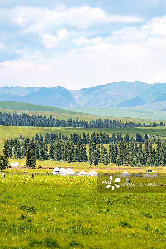 新疆那拉提草原夏季风景图片素材