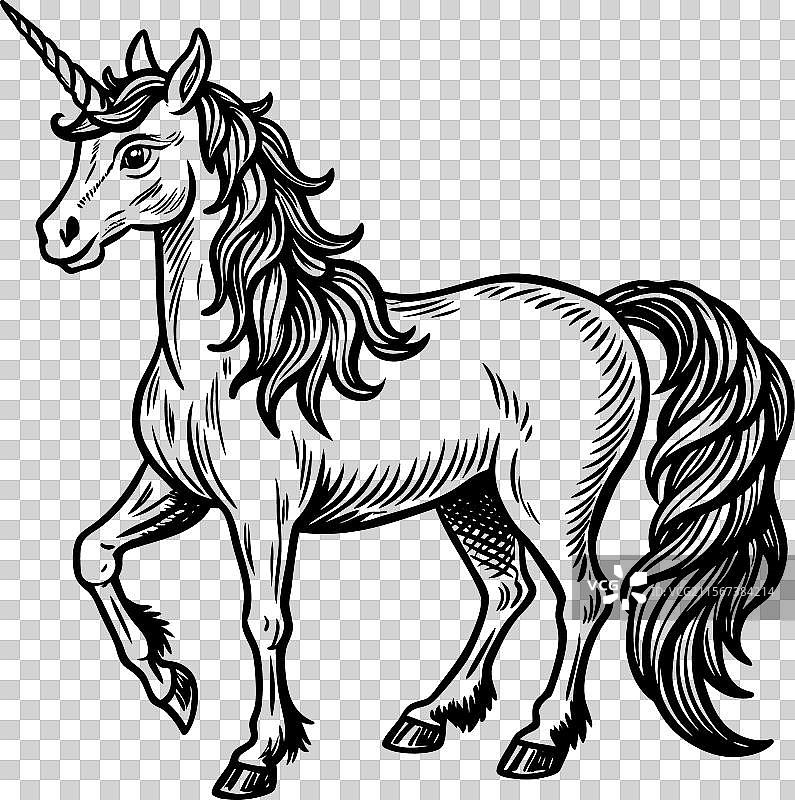 独角兽图片素材