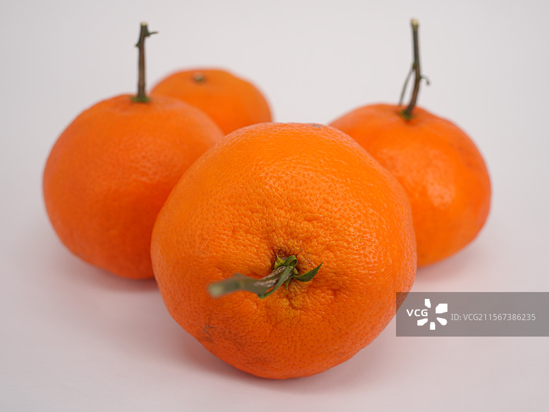 丑橘橙子橘子特写图片素材