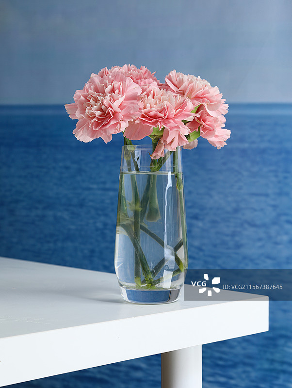 夏天大海边白色桌面上的一束插花粉色鲜花图片素材