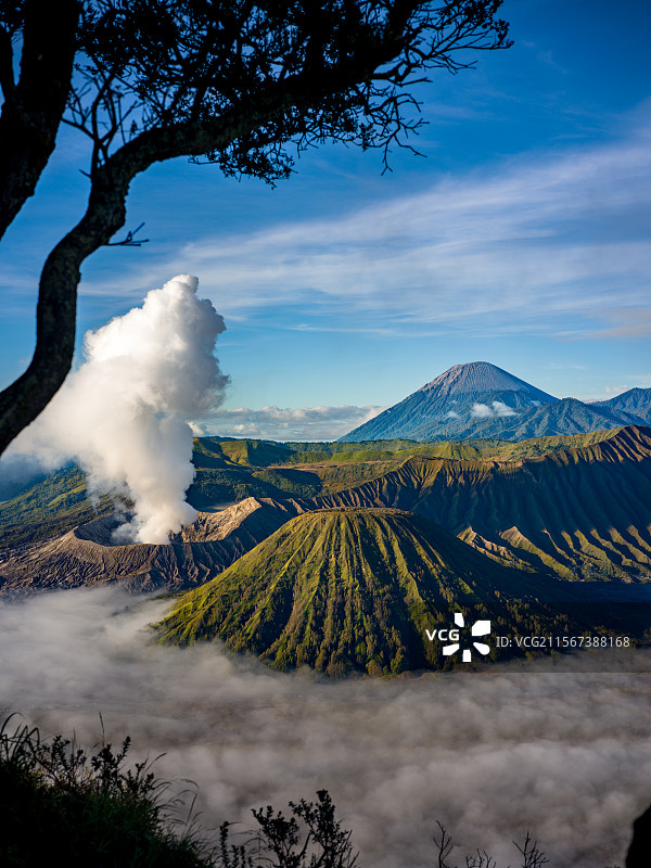 活火山与云雾共舞：东爪哇布罗莫的清晨图片素材