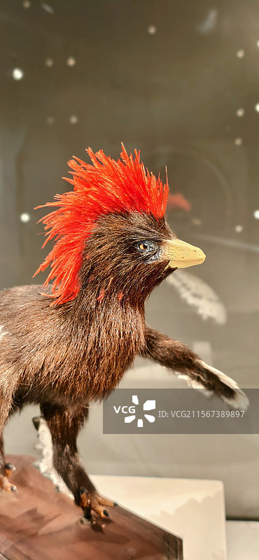 重庆自然博物馆图片素材