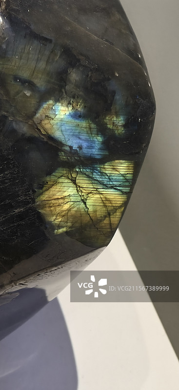 重庆自然博物馆图片素材