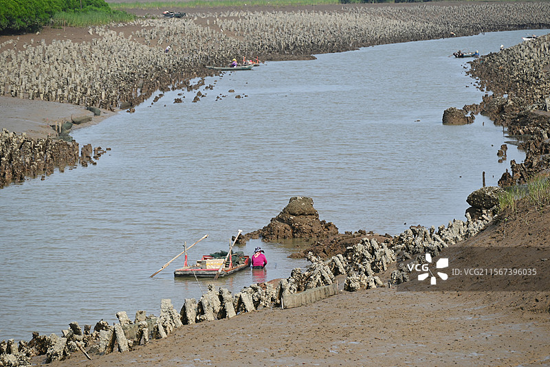 泉州洛阳江图片素材