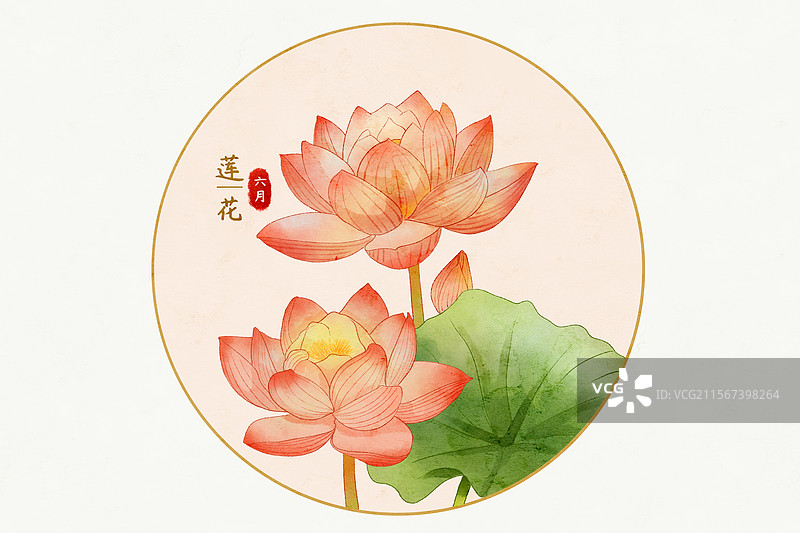 中国风水彩手绘国风夏天六月莲花荷花植物花卉十二花令系列插画素材图片素材