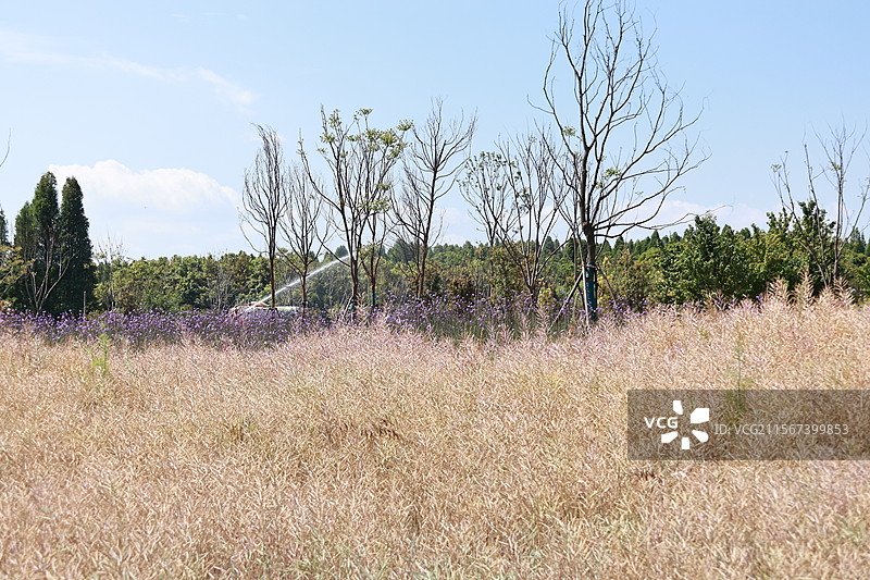 环滇流域生态绿道之河尾村、斗南湿地图片素材