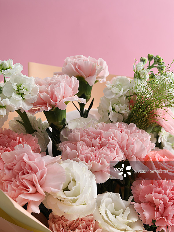 粉色背景上一大片鲜花特写图片素材