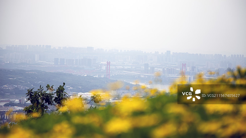 重庆铁山坪森林公园图片素材