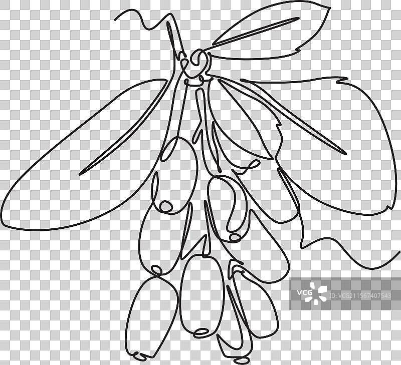 连续一笔画的健康食物堆图片素材