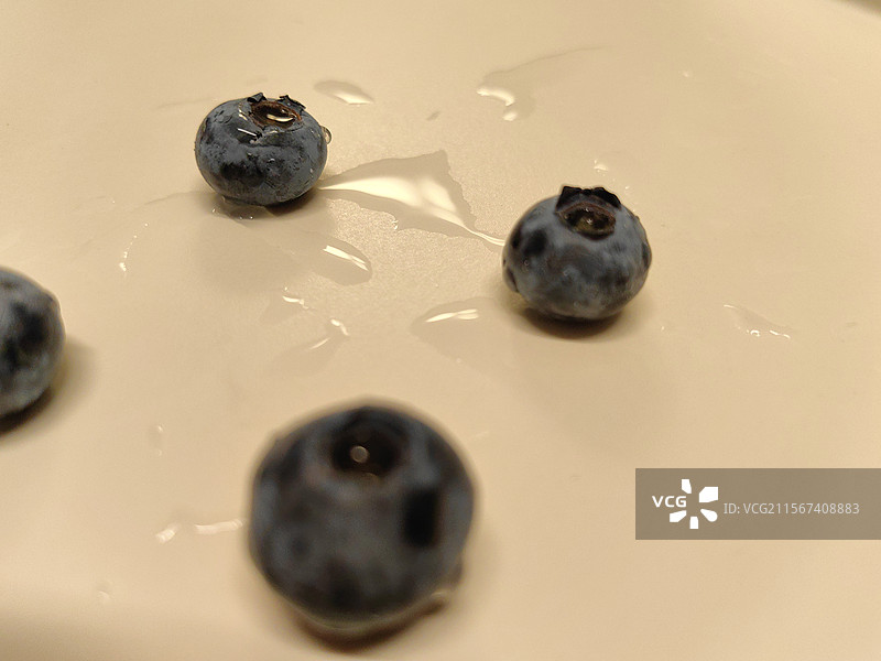 蓝莓图片素材