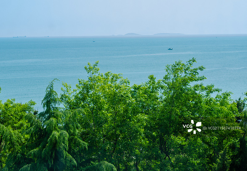 大海和森林图片素材