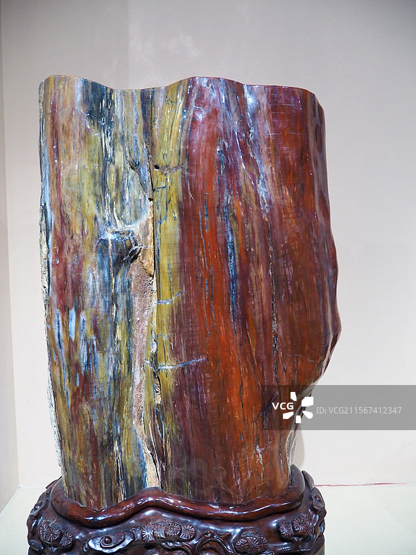 岁月沉淀的木化石图片素材