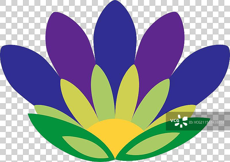 墨西哥传统花卉民族刺绣图片素材