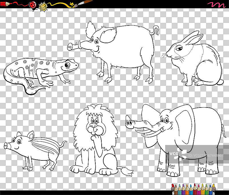 卡通野生动物角色涂色页图片素材