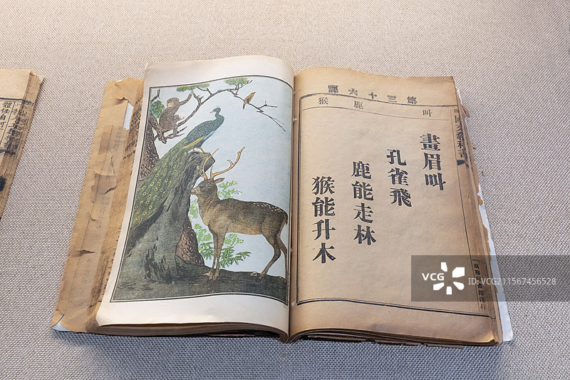 中国第一历史档案馆最新国文教科书学部第一次审定光绪三十年初版1907年上海商务印书馆发行图片素材