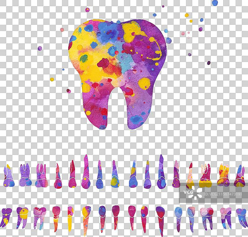 彩色水彩牙齿和牙齿行列图片素材