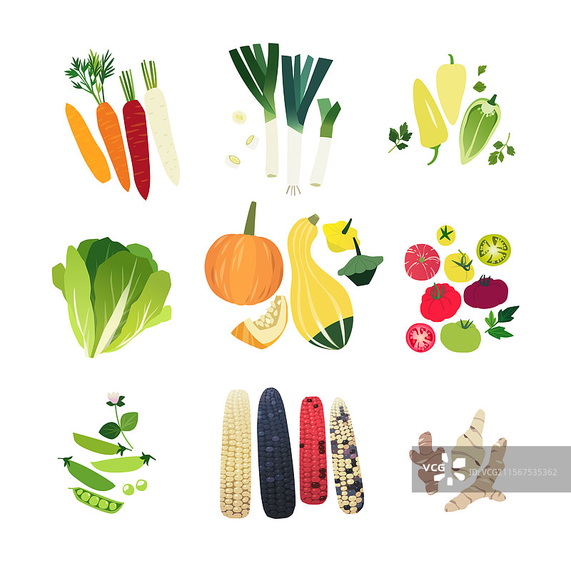 蔬菜组合 05图片素材