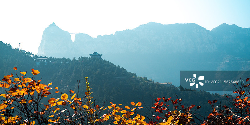 太行五指山 秋色 奇山异景图片素材