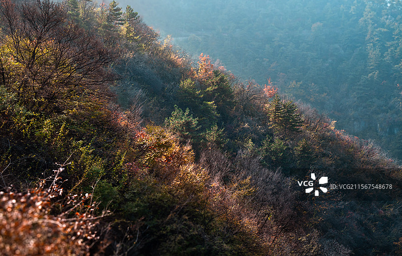 太行五指山 秋色 奇山异景图片素材