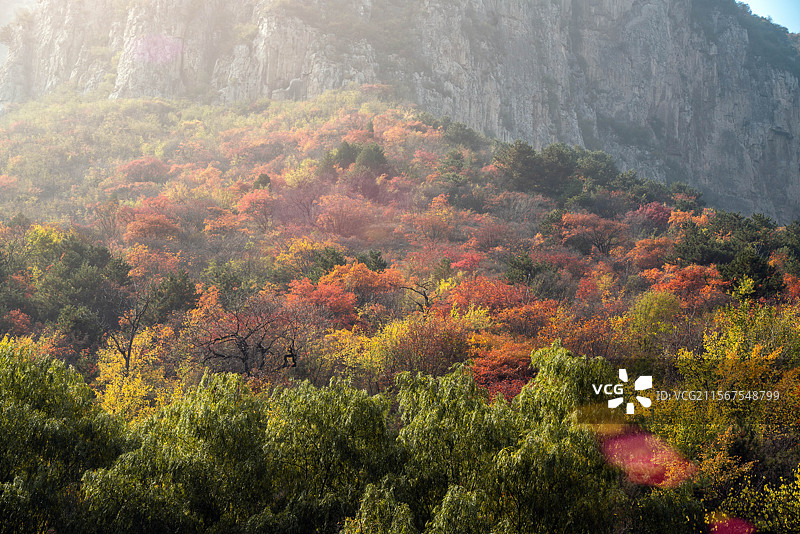 太行五指山 秋色 奇山异景图片素材