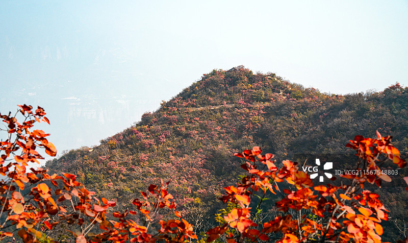 太行五指山 秋色 奇山异景图片素材