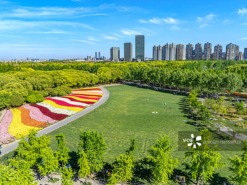 城市中央公园七彩花田金鱼草花盛开 航拍上海世纪公园大草坪 人民城市为人民 城市绿洲生态环境保护图片素材