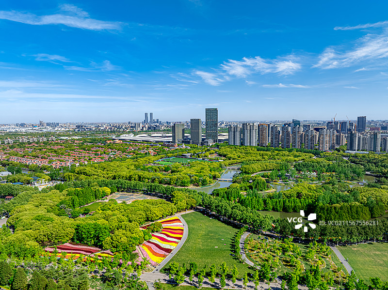 城市中央公园七彩花田金鱼草花盛开 航拍上海世纪公园与浦东嘉里城 人民城市为人民 城市绿洲生态环境保护图片素材
