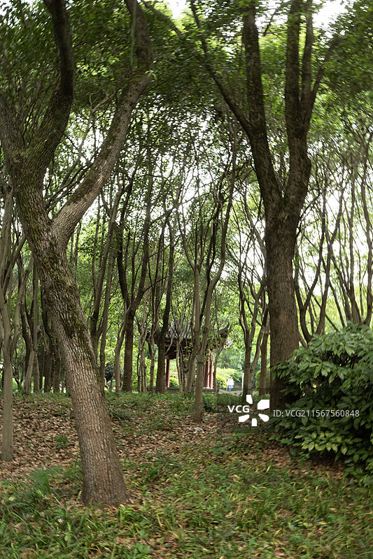 南京下马坊遗址公园图片素材