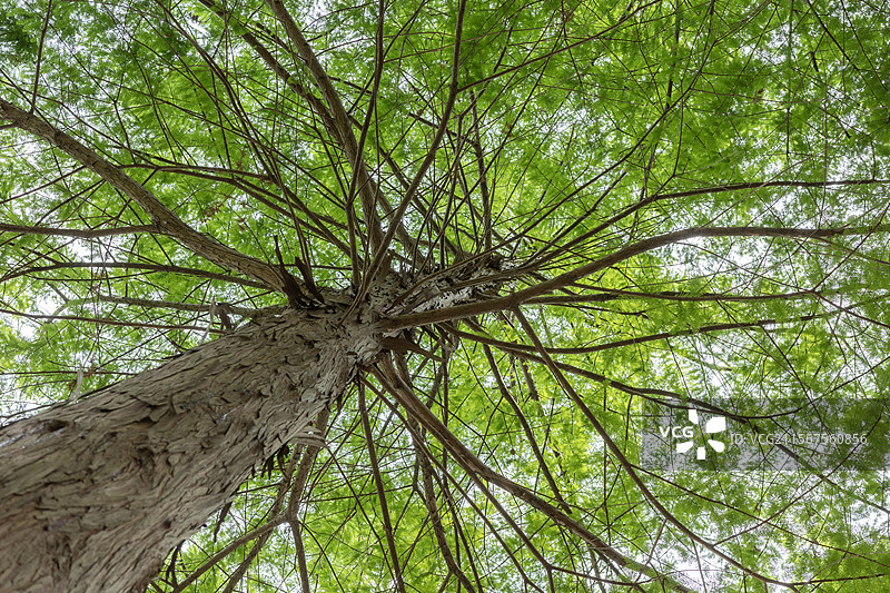 南京下马坊遗址公园图片素材