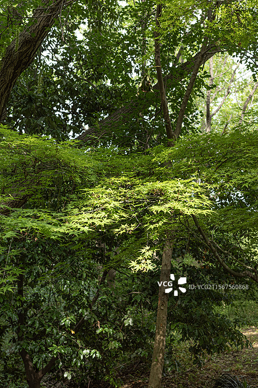 南京下马坊遗址公园图片素材
