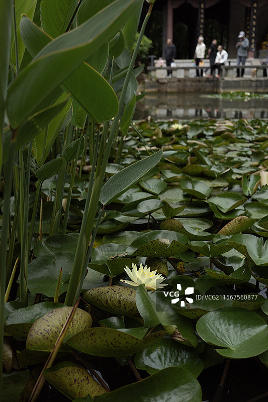下马坊遗址公园-观音阁图片素材