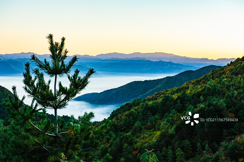 中国陕西省宝鸡市黄柏塬原生态风景区图片素材