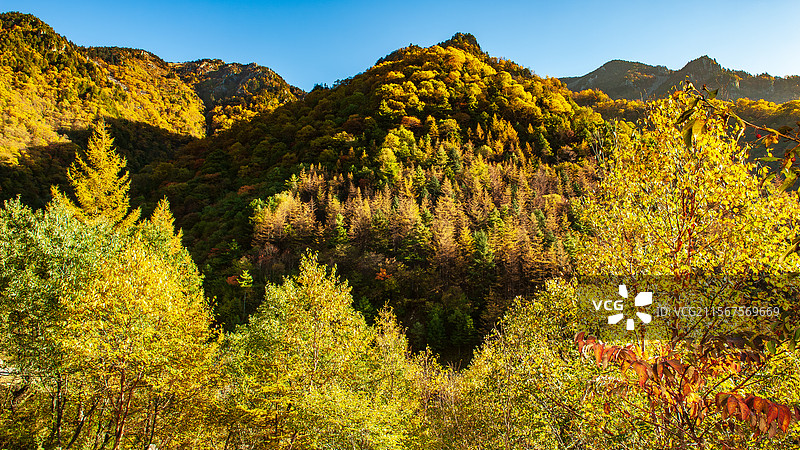 中国陕西省宝鸡市黄柏塬原生态风景区图片素材