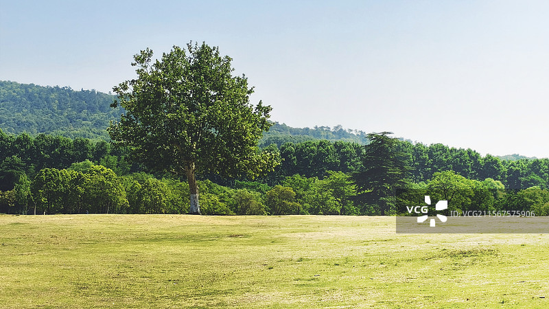 美丽的自然风光图片素材