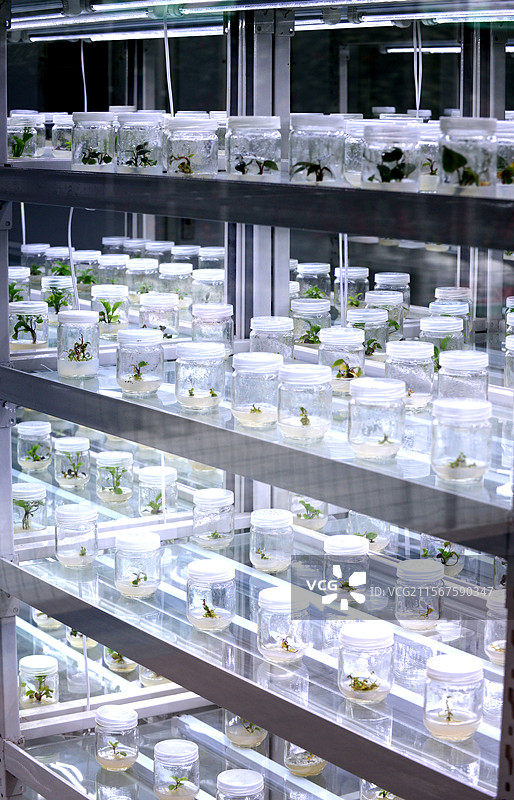 神秘的实验室图片素材