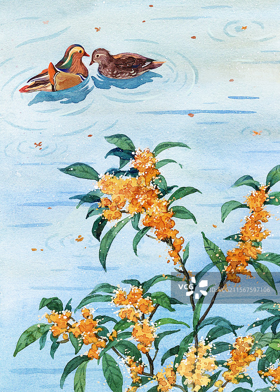 鸳鸯插画图片素材