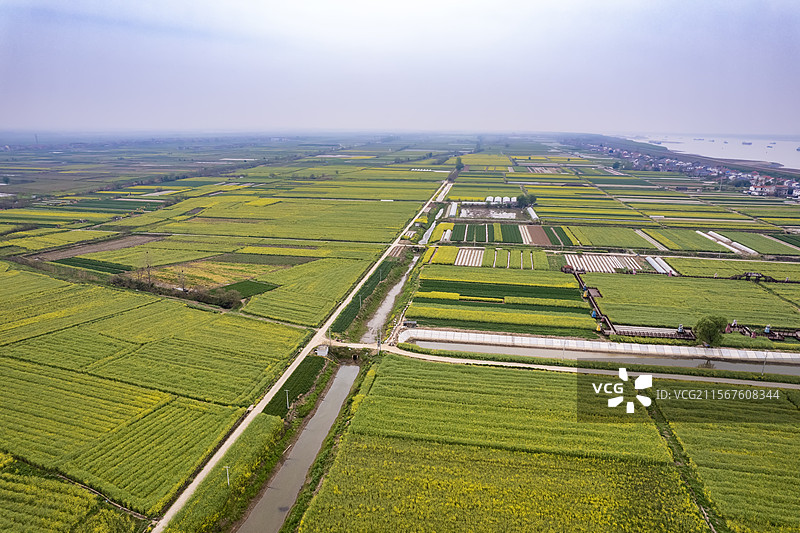 航拍湖南岳阳临湘市江南镇油菜花田图片素材