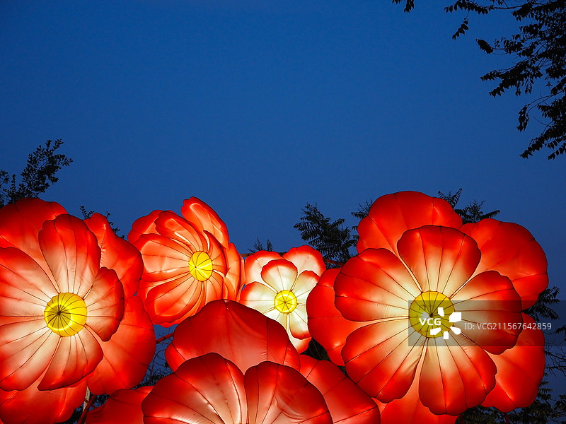 夜幕下的花灯盛宴图片素材