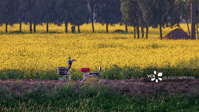 田园的时光刻度图片素材