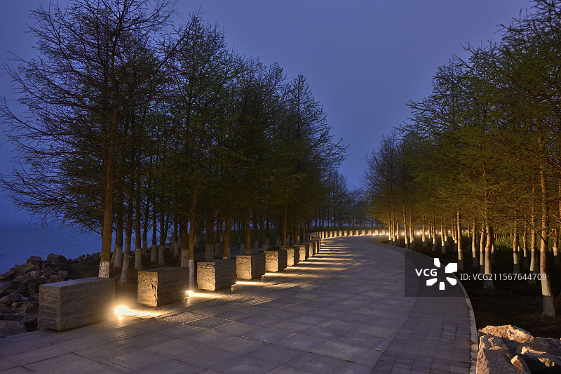滴水湖湖岸小路夜景图片素材