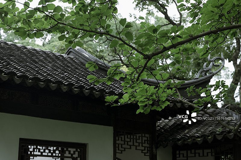 园林中式园林公园风景绿色植物美景绿植夏天郁郁葱葱养眼手机壁纸电脑壁纸电脑屏保屏保壁纸亭台小桥流水江南图片素材