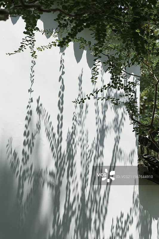 园林中式园林公园风景绿色植物美景绿植夏天郁郁葱葱养眼手机壁纸电脑壁纸电脑屏保屏保壁纸亭台小桥流水江南图片素材